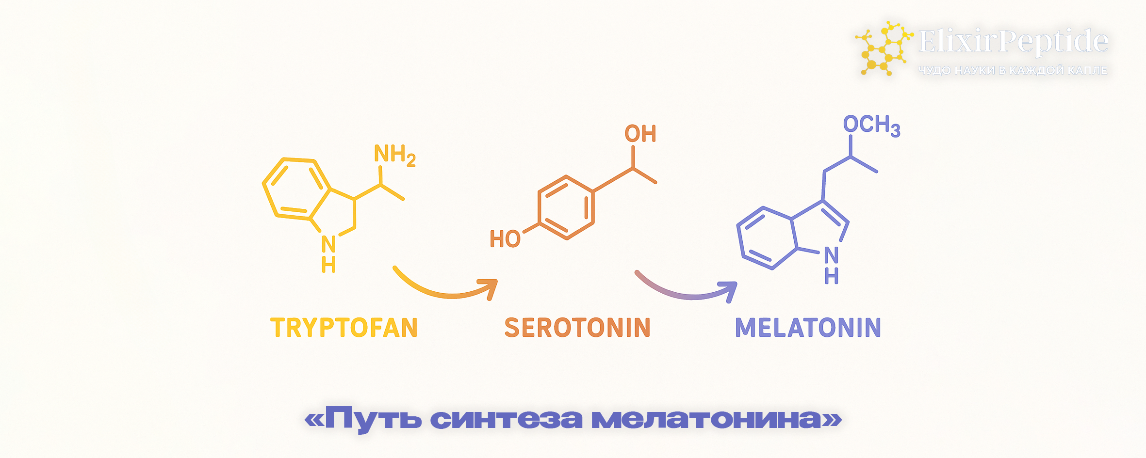 Путь синтеза мелатонина